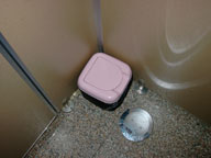 �Βȃ`�����̐X